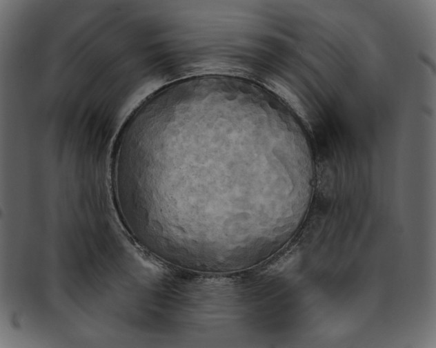 X0000095681043200801221221