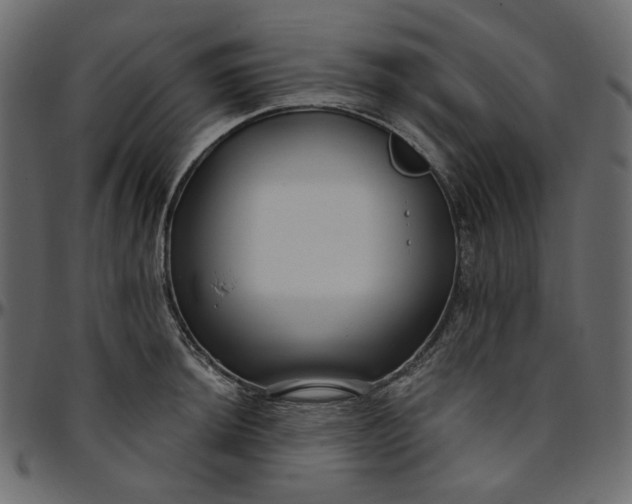 X0000095681044200801221222