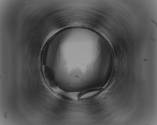 X0000095681045200801221222