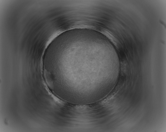X0000095681046200801221222