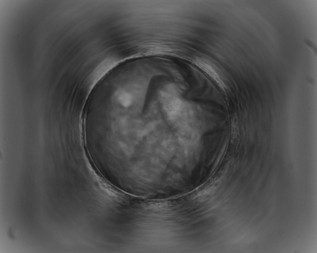 X0000095681047200801221222