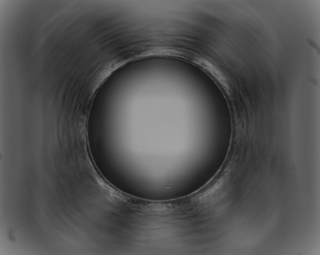 X0000095681049200801221222