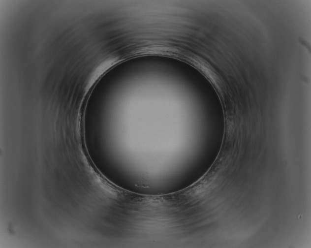 X0000095681050200801221222