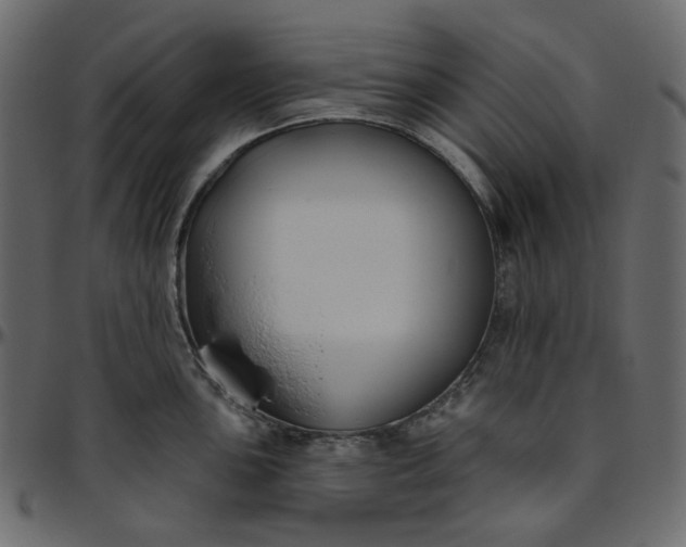 X0000095681051200801221222