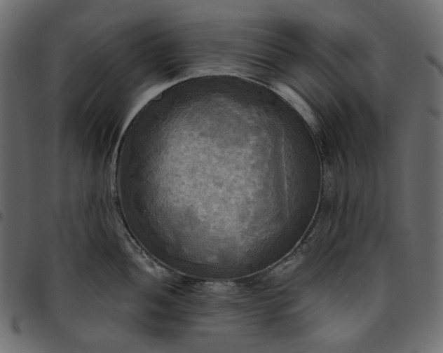 X0000095681052200801221222