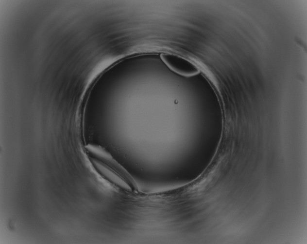 X0000095681053200801221222