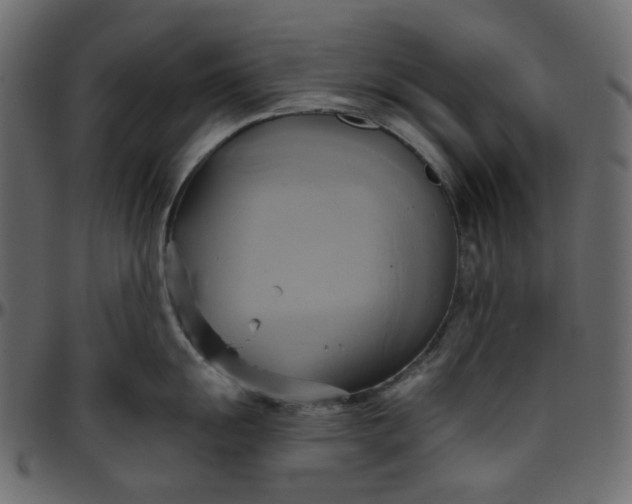 X0000095681055200801221222