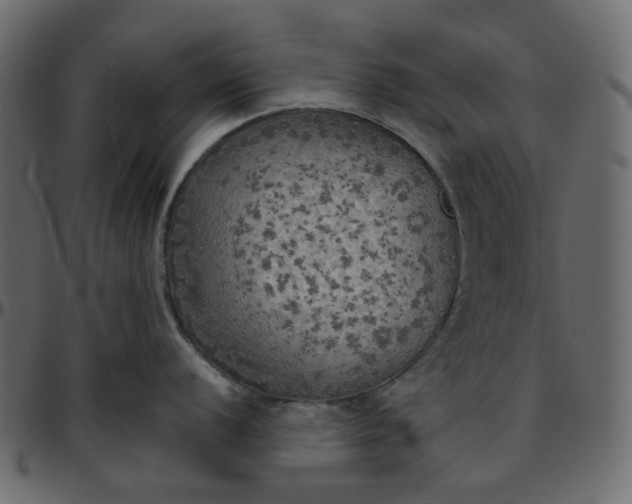 X0000095681056200801221222