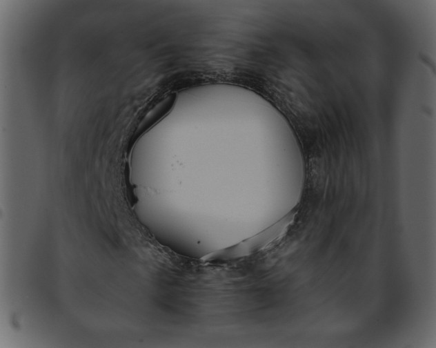 X0000095681057200801221221