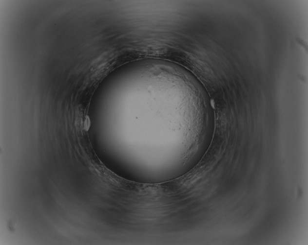 X0000095681058200801221221