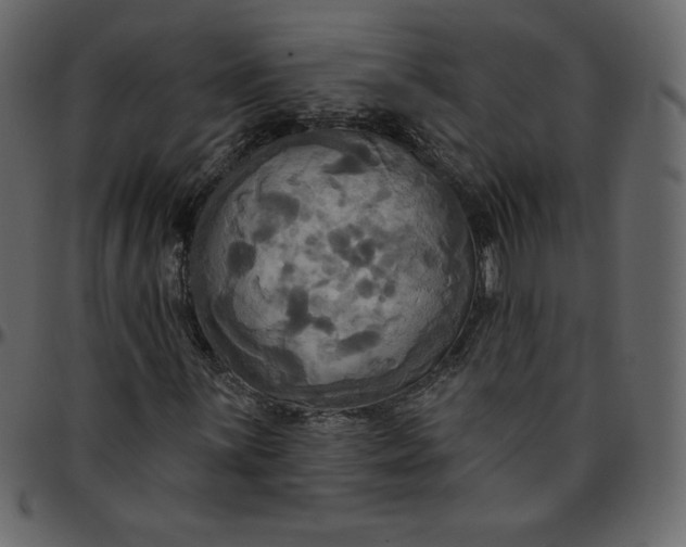 X0000095681059200801221221