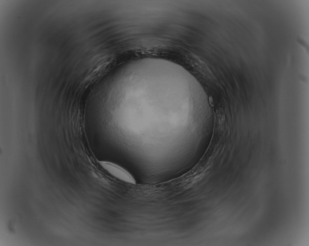 X0000095681060200801221221