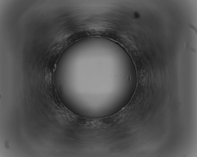 X0000095681061200801221221