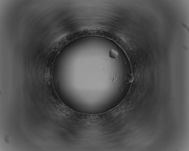 X0000095681062200801221221
