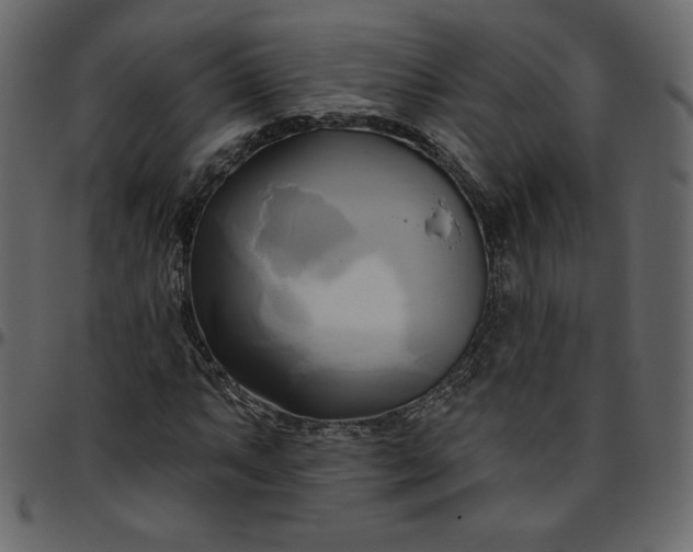 X0000095681063200801221221