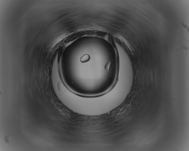 X0000095681064200801221221