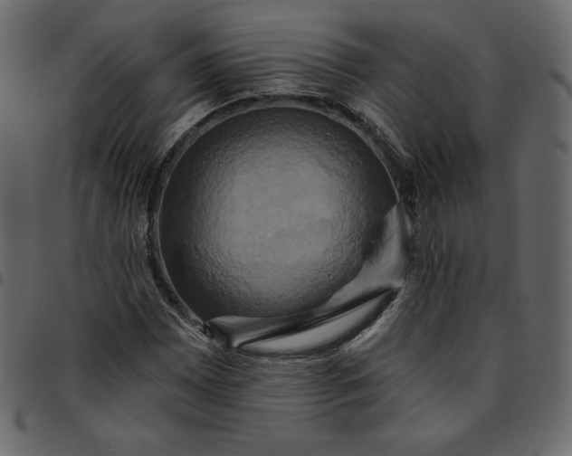 X0000095681065200801221221