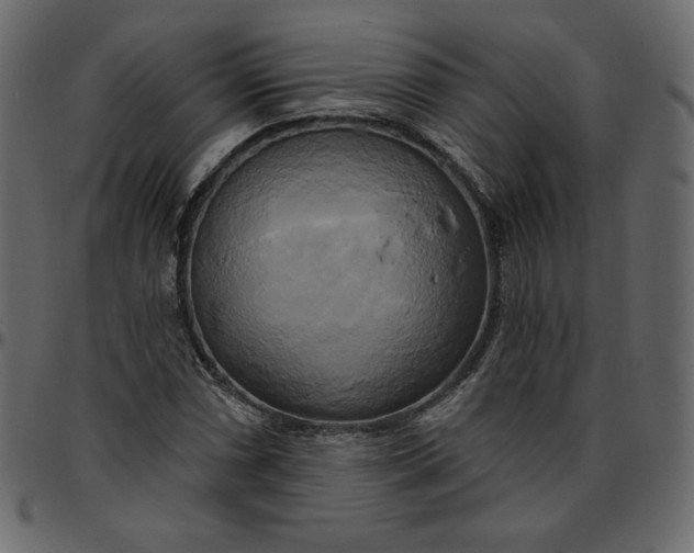 X0000095681066200801221221