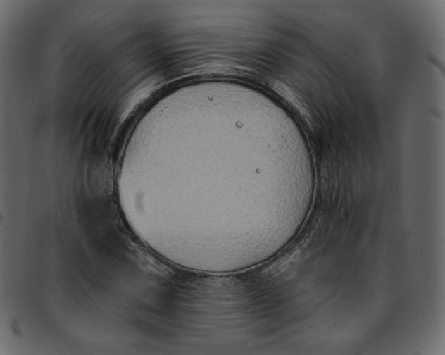 X0000095681067200801221221