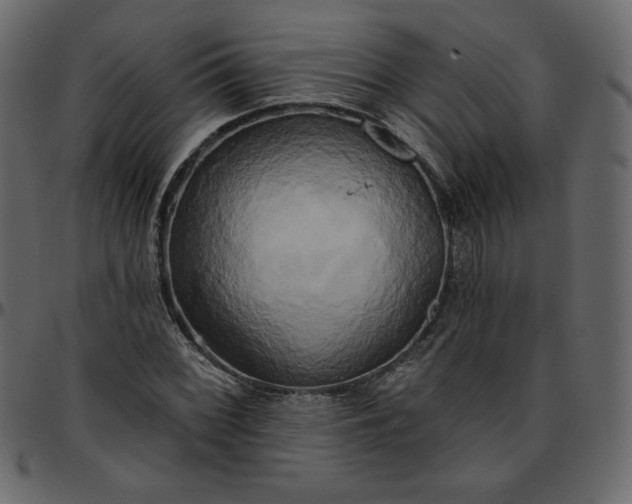 X0000095681068200801221221