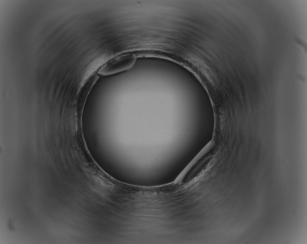 X0000095681069200801221221