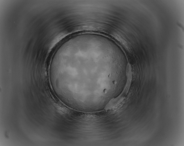 X0000095681070200801221221