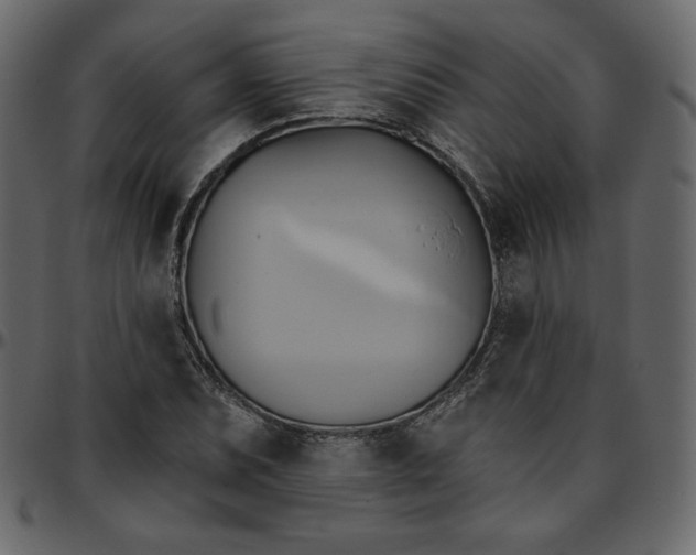 X0000095681071200801221221