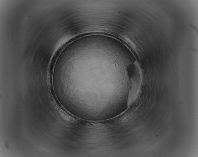 X0000095681072200801221221