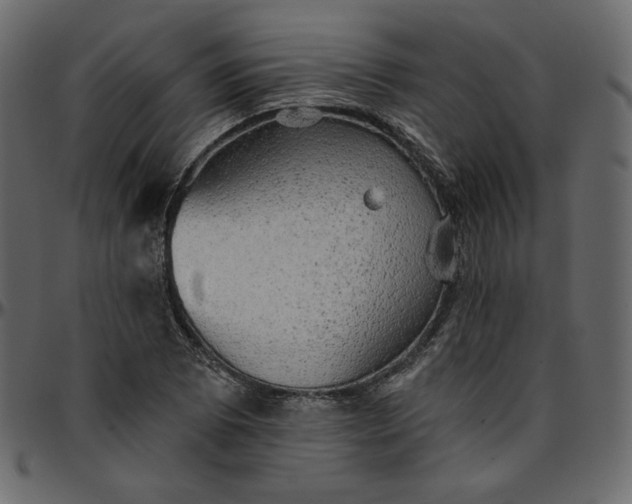 X0000095681073200801221221