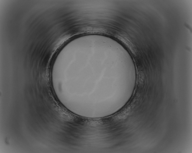 X0000095681074200801221221