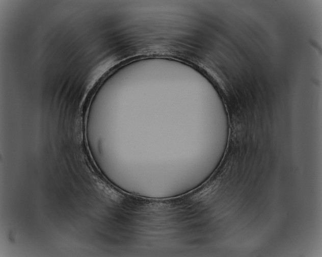 X0000095681075200801221221