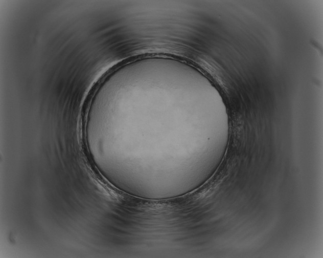 X0000095681076200801221221