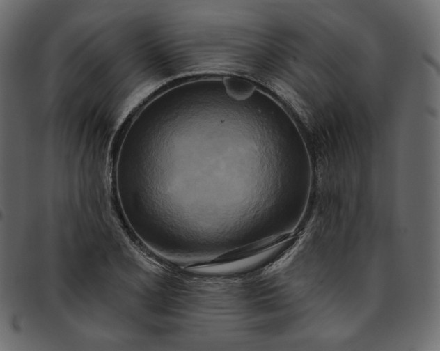 X0000095681077200801221221