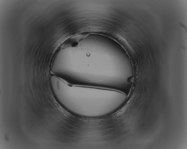 X0000095681081200801221221