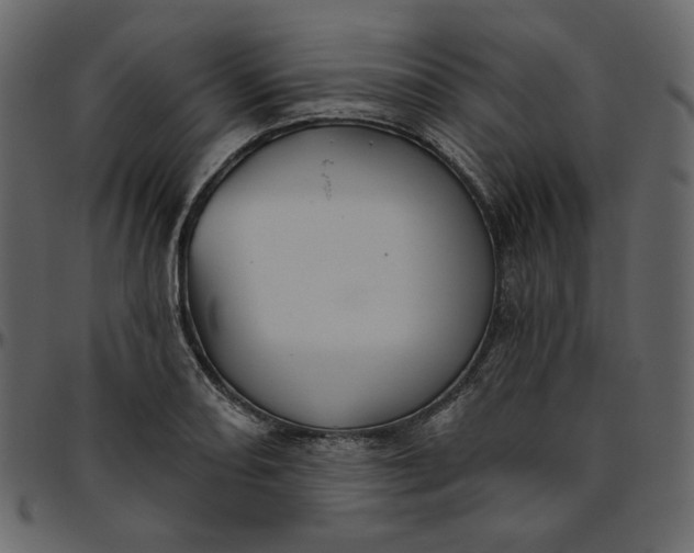 X0000095681082200801221221