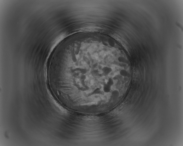 X0000095681083200801221221
