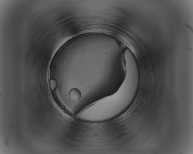 X0000095681084200801221221