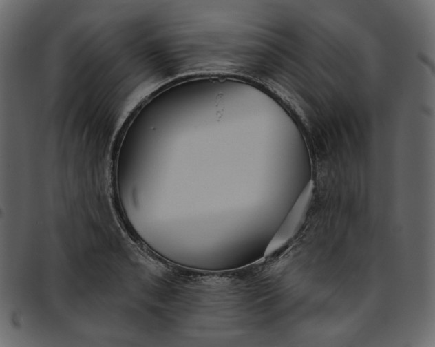 X0000095681085200801221221