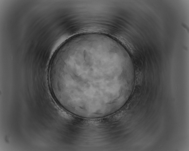 X0000095681086200801221221