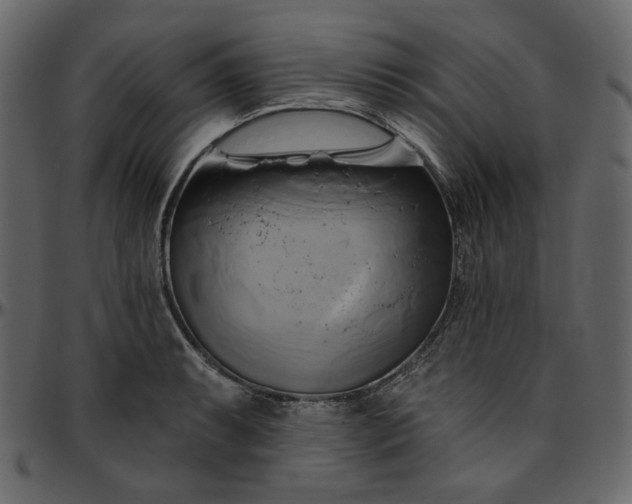 X0000095681087200801221221