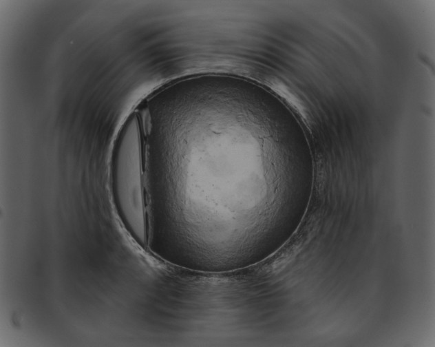 X0000095681088200801221221