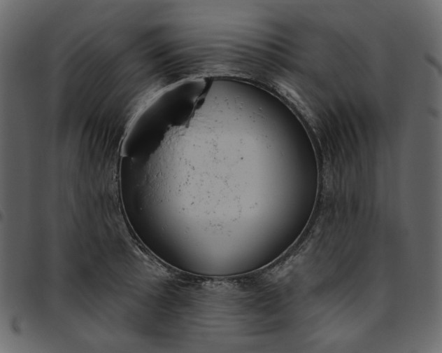 X0000095681089200801221221
