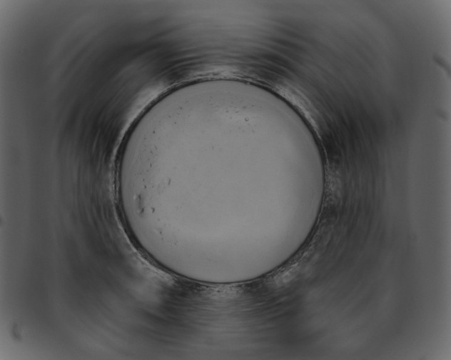 X0000095681090200801221221