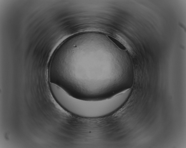 X0000095681092200801221221