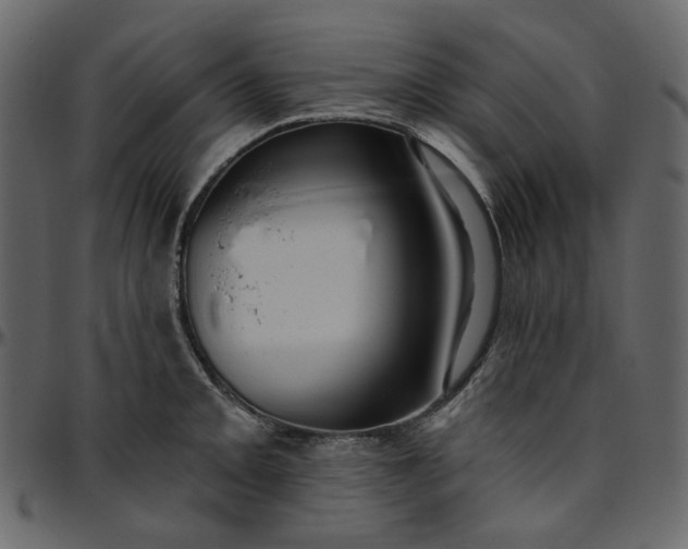 X0000095681093200801221221