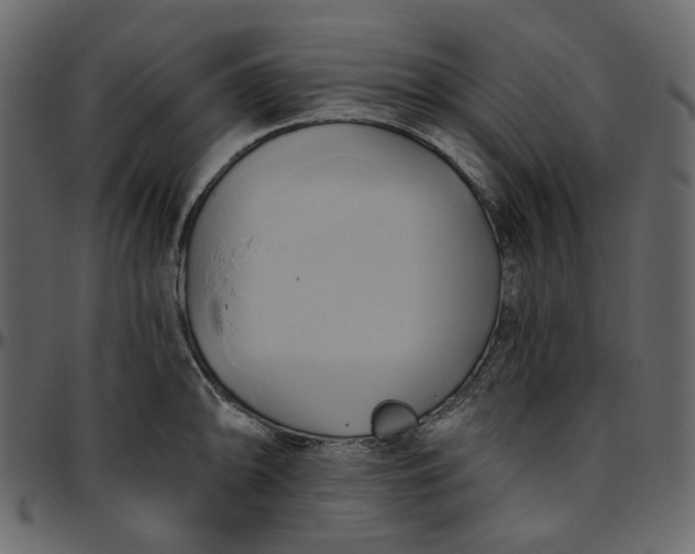 X0000095681094200801221221