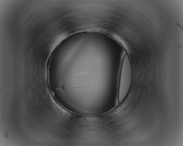 X0000095681095200801221221