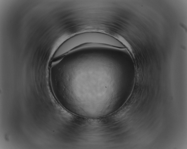 X0000095681096200801221220