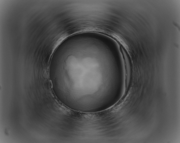 X0000095681097200801221220