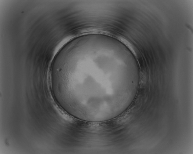 X0000095681098200801221220